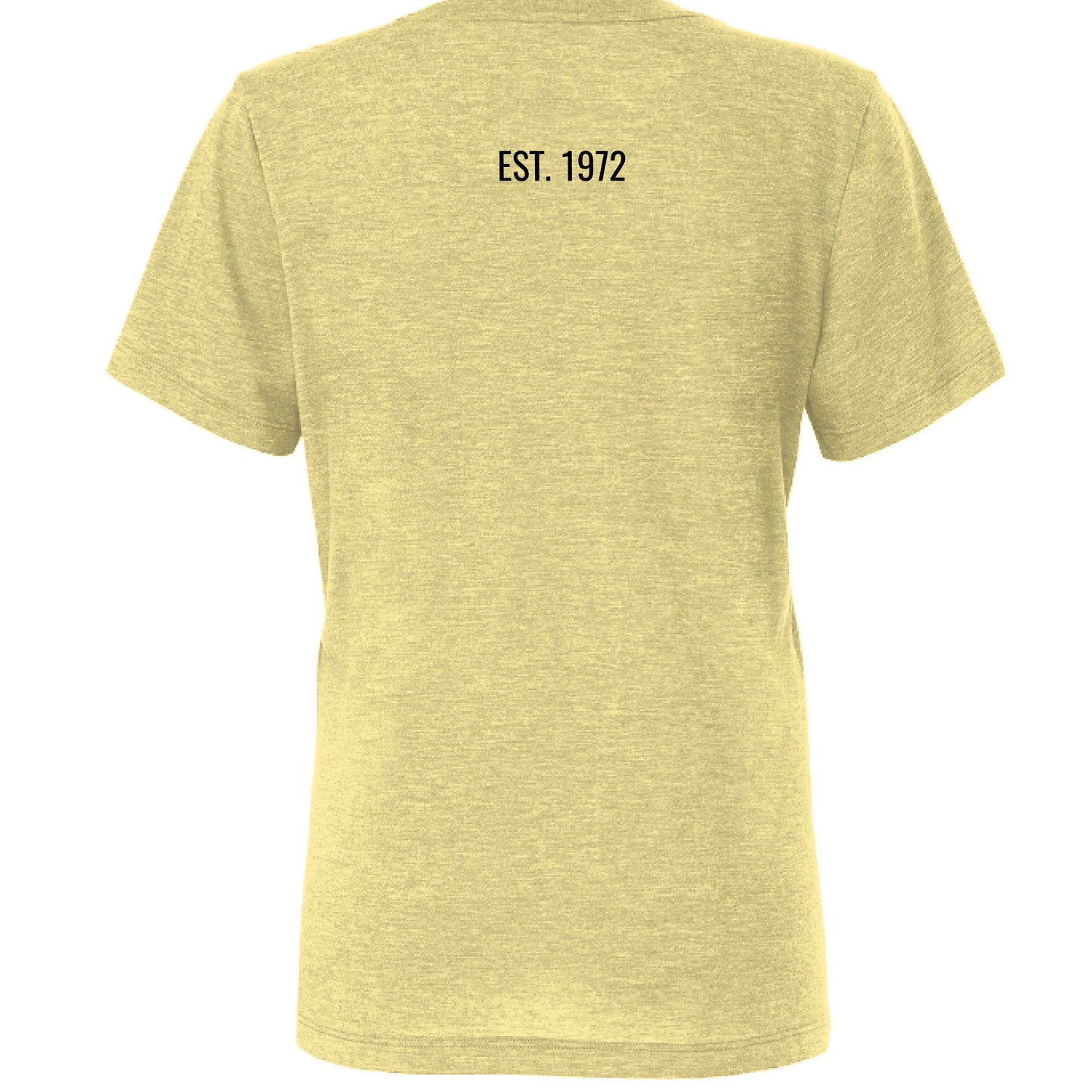 Pale Yellow Triblend - BACK