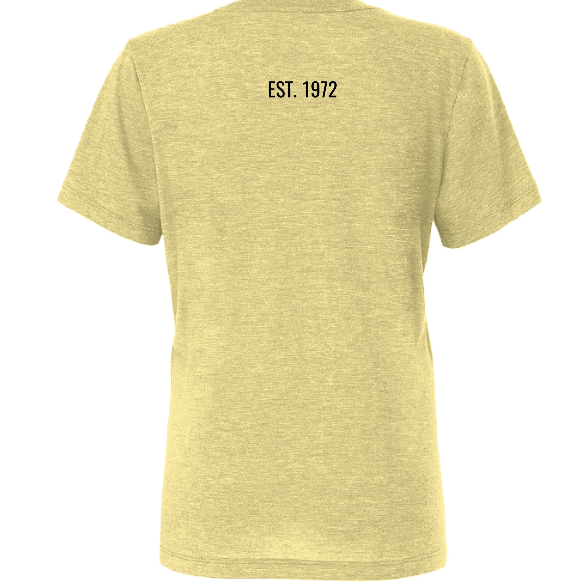 Pale Yellow Triblend - BACK