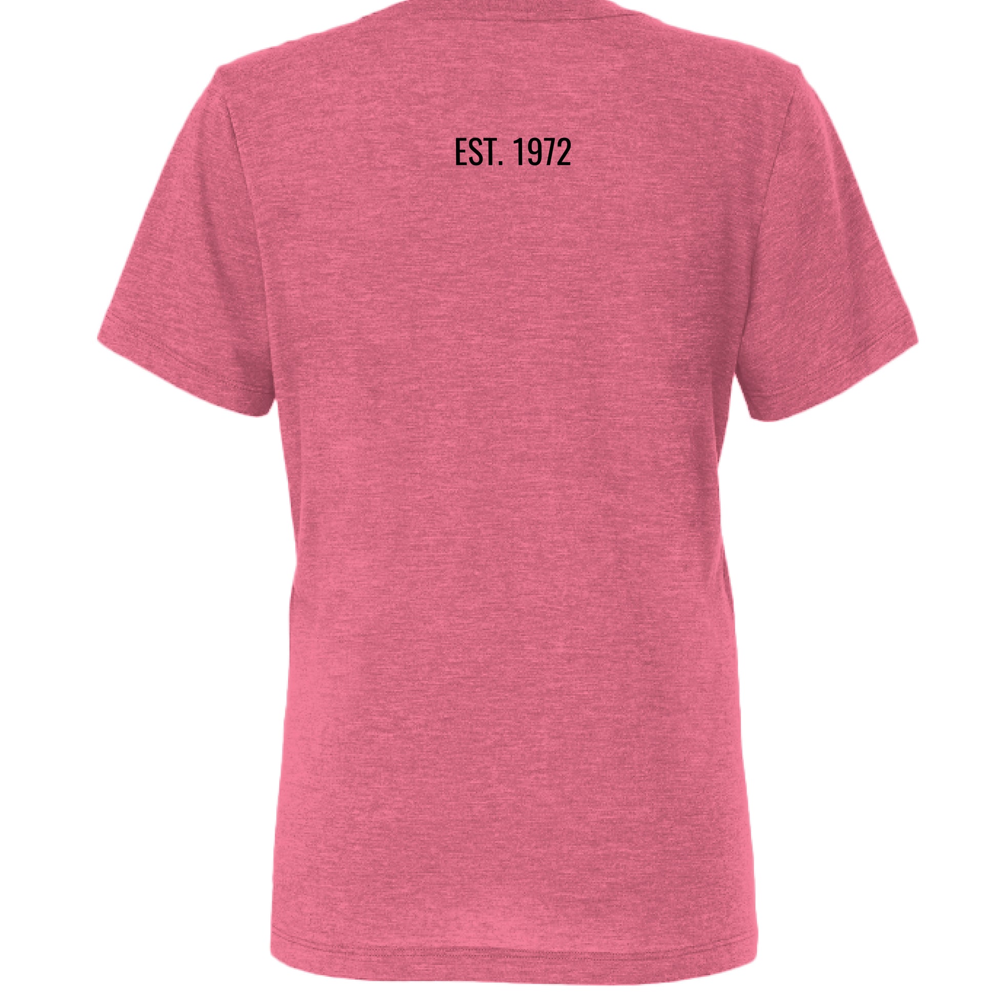 Char Pink Triblend - BACK