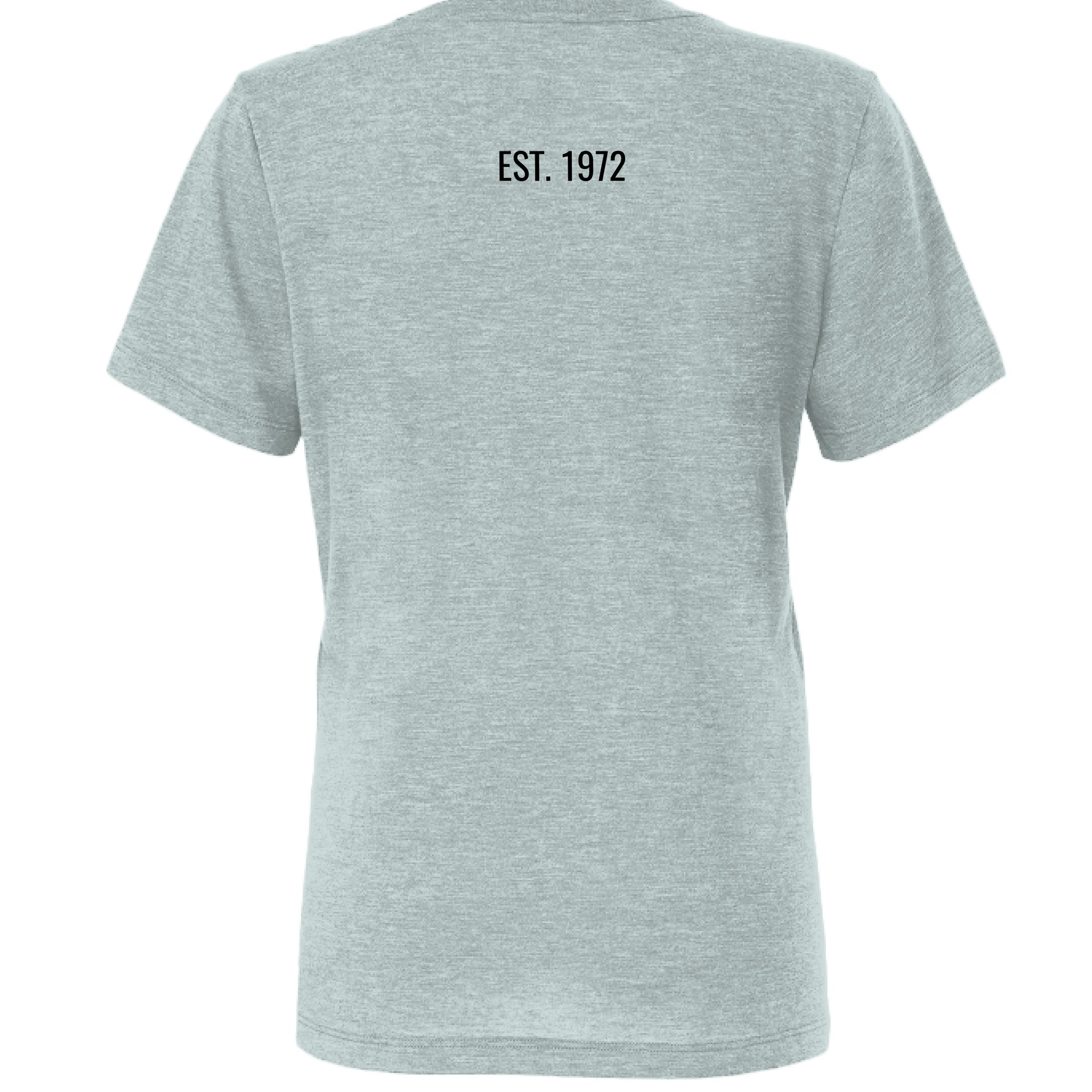 Dusty Blue Triblend - BACK